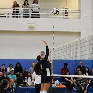 Meet your Posher, Lea